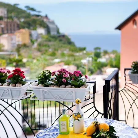 Sofi * Sorrento