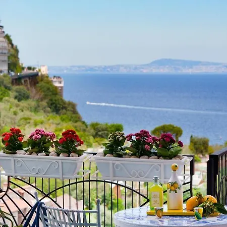 Sofi * Sorrento