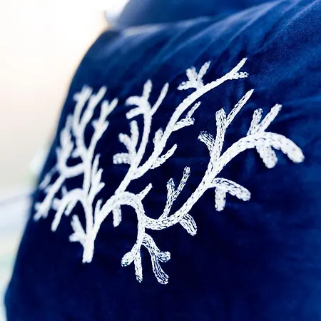 Sofi بيت للعطل